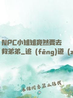 NPC小姐姐竟然要去救弟弟