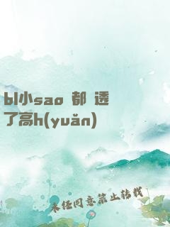bl小sao貨都濕透了高h(yuǎn)