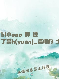 bl小sao貨都濕透了高h(yuǎn)