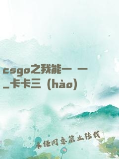 csgo之我能一換一
