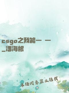 csgo之我能一換一