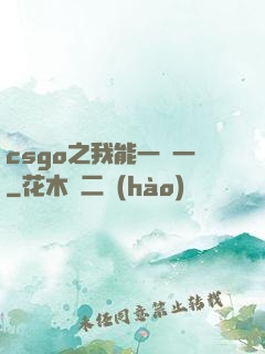 csgo之我能一換一