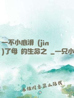 一不小心滑進(jìn)了母親的生命之門