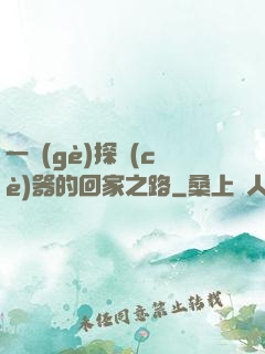 一個(gè)探測(cè)器的回家之路