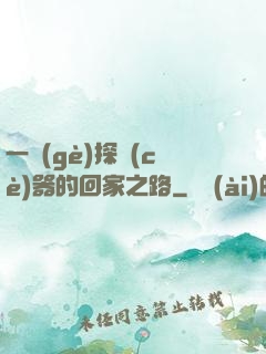 一個(gè)探測(cè)器的回家之路