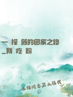 一個探測器的回家之路