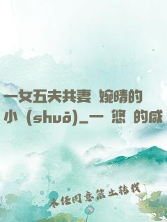 一女五夫共妻蘇婉晴的小說(shuō)