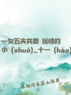 一女五夫共妻蘇婉晴的小說(shuō)