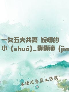 一女五夫共妻蘇婉晴的小說(shuō)