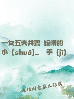 一女五夫共妻蘇婉晴的小說(shuō)