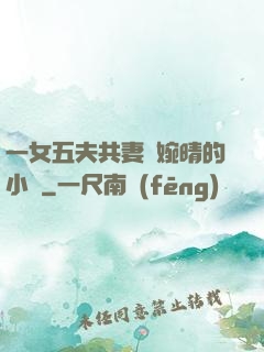 一女五夫共妻蘇婉晴的小說