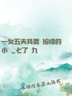 一女五夫共妻蘇婉晴的小說
