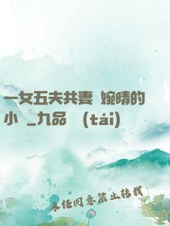 一女五夫共妻蘇婉晴的小說