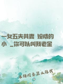 一女五夫共妻蘇婉晴的小說
