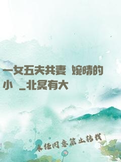 一女五夫共妻蘇婉晴的小說