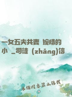 一女五夫共妻蘇婉晴的小說