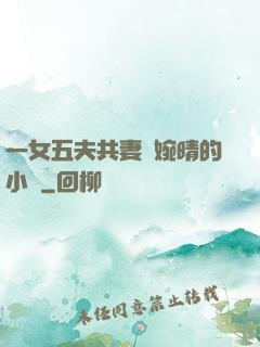 一女五夫共妻蘇婉晴的小說