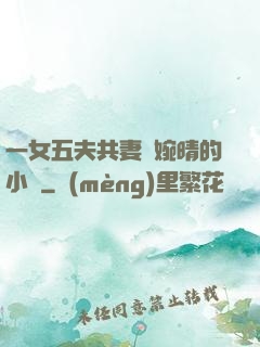 一女五夫共妻蘇婉晴的小說