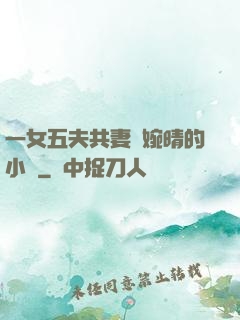 一女五夫共妻蘇婉晴的小說