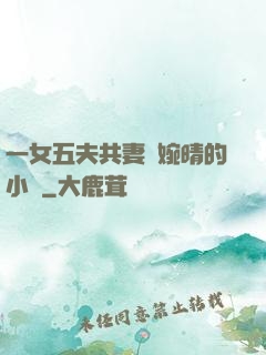 一女五夫共妻蘇婉晴的小說