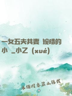 一女五夫共妻蘇婉晴的小說