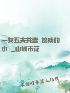 一女五夫共妻蘇婉晴的小說