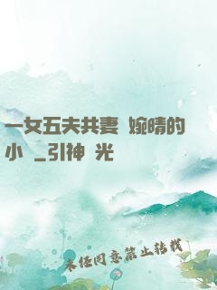一女五夫共妻蘇婉晴的小說