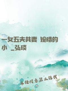 一女五夫共妻蘇婉晴的小說
