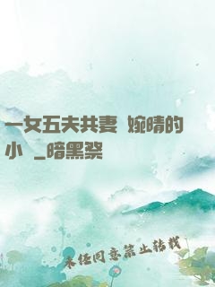 一女五夫共妻蘇婉晴的小說