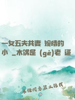 一女五夫共妻蘇婉晴的小說