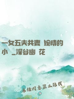 一女五夫共妻蘇婉晴的小說