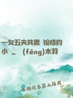 一女五夫共妻蘇婉晴的小說