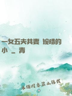 一女五夫共妻蘇婉晴的小說