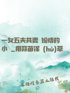 一女五夫共妻蘇婉晴的小說