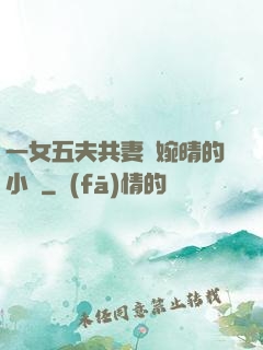一女五夫共妻蘇婉晴的小說