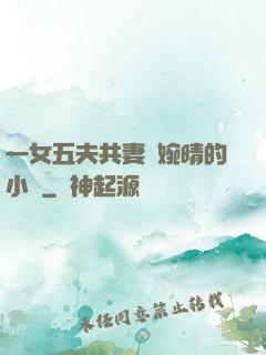一女五夫共妻蘇婉晴的小說
