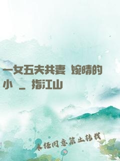 一女五夫共妻蘇婉晴的小說