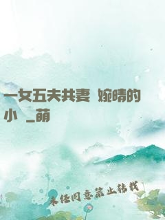 一女五夫共妻蘇婉晴的小說
