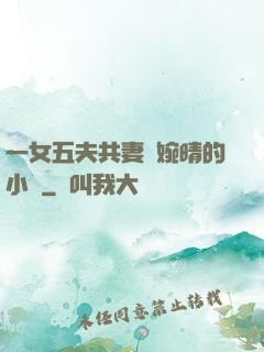 一女五夫共妻蘇婉晴的小說
