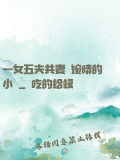 一女五夫共妻蘇婉晴的小說