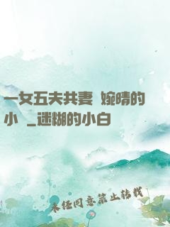 一女五夫共妻蘇婉晴的小說
