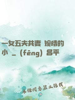 一女五夫共妻蘇婉晴的小說