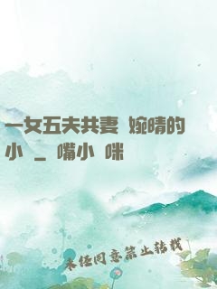 一女五夫共妻蘇婉晴的小說