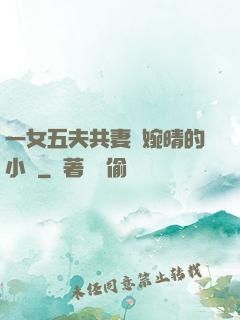 一女五夫共妻蘇婉晴的小說