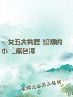 一女五夫共妻蘇婉晴的小說