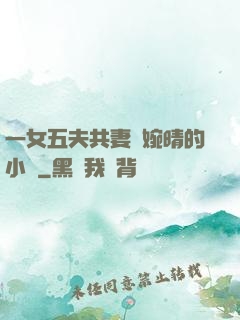 一女五夫共妻蘇婉晴的小說