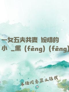一女五夫共妻蘇婉晴的小說