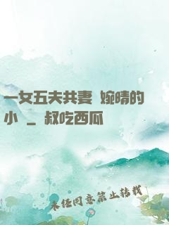 一女五夫共妻蘇婉晴的小說
