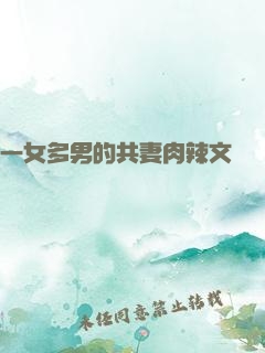 一女多男的共妻肉辣文