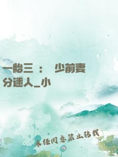 一胎三寶：陸少前妻過分迷人